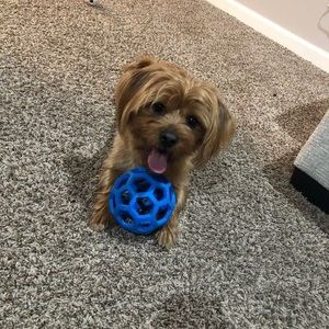 Meet your Posher, Erick